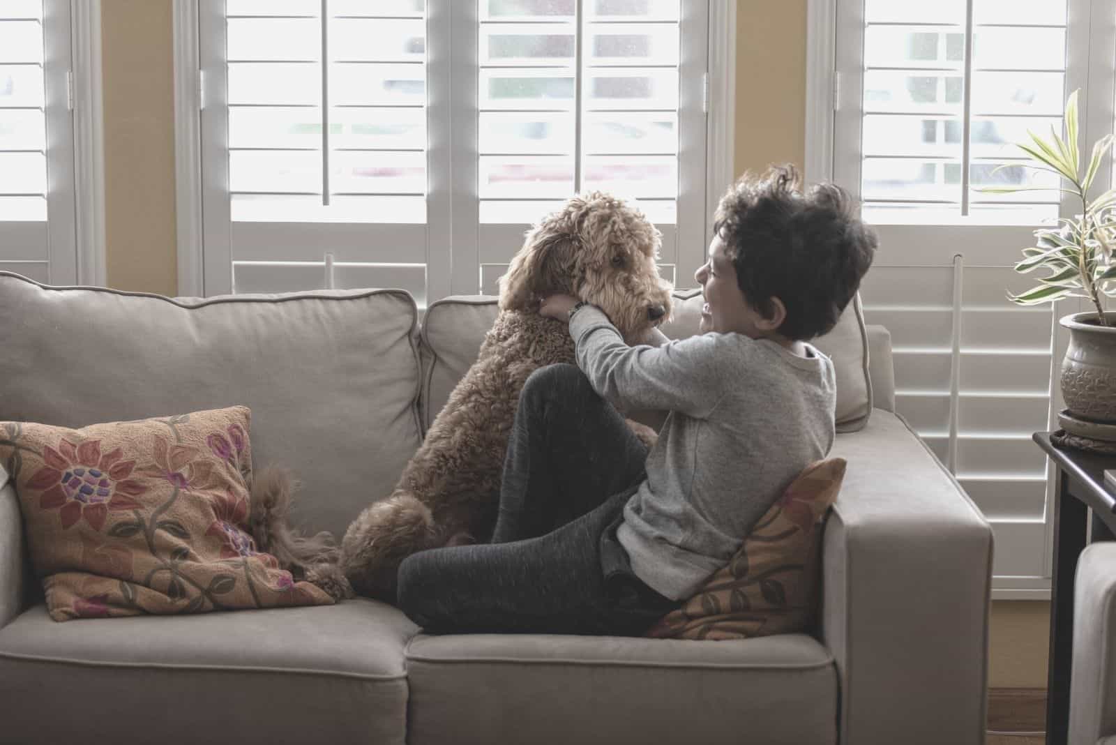 8 year old boy playing with a goldendoodle at home at the sofa