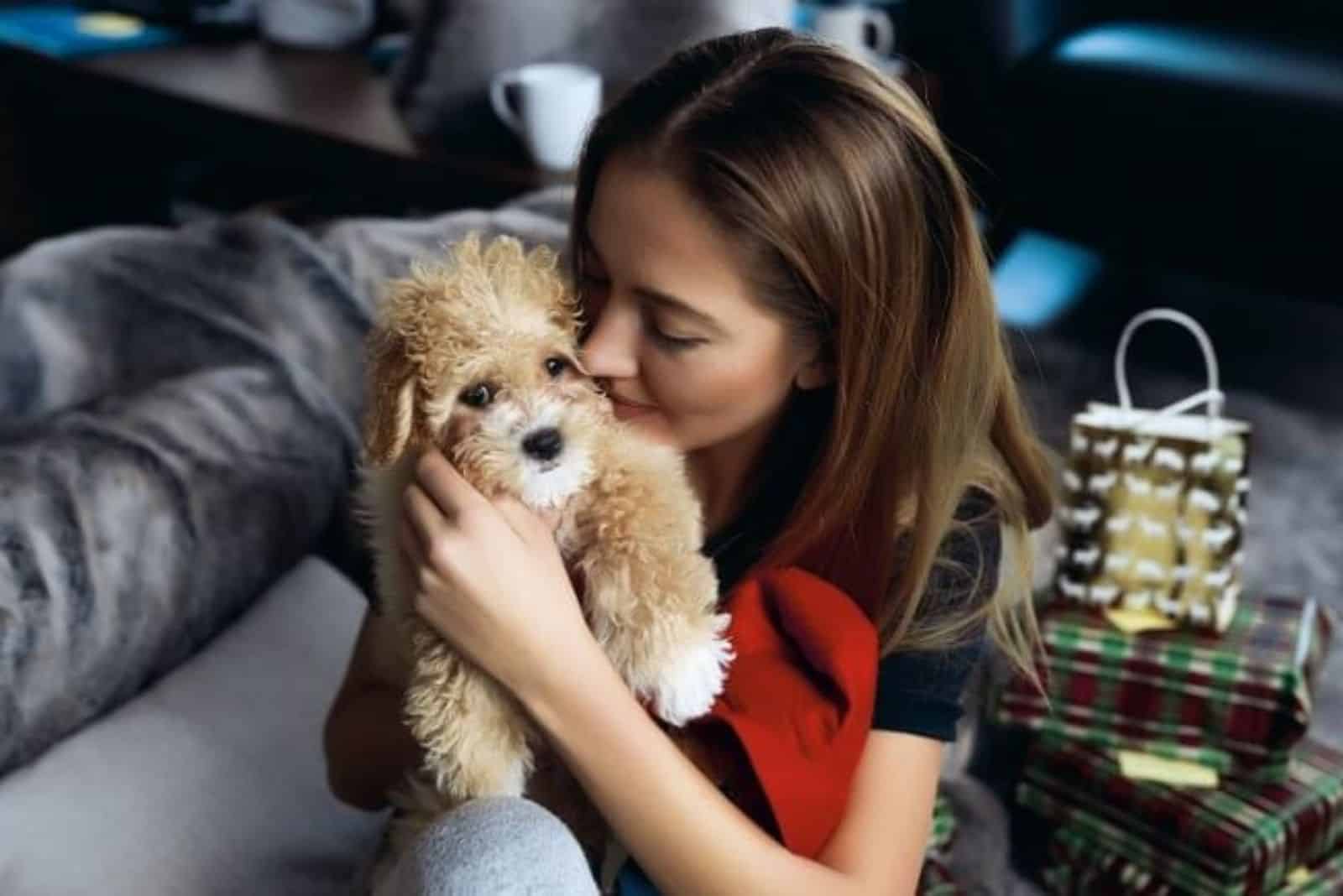 Cavapoo in a woman's arms