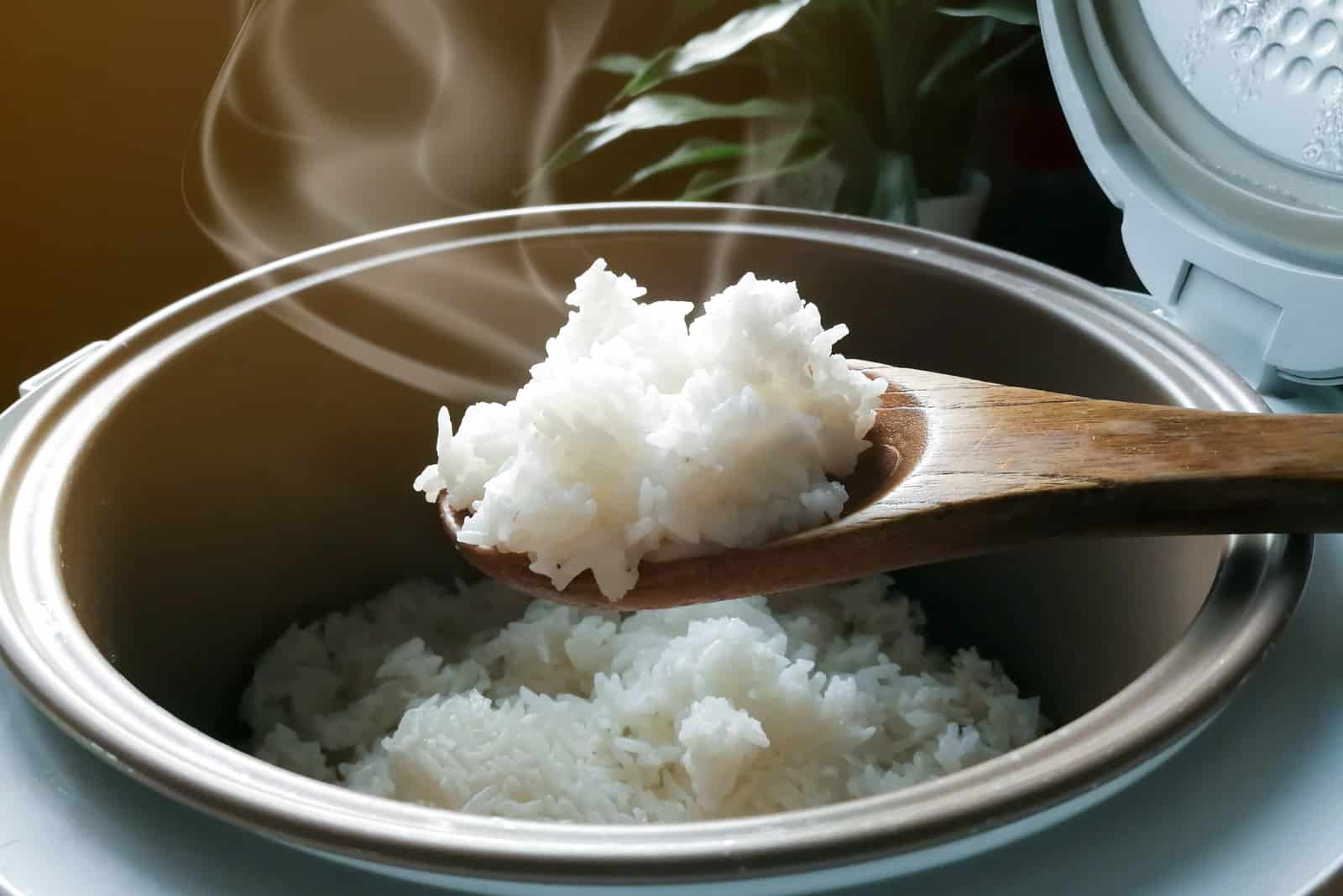 Jasmine rice cooking in electric rice cooker with steam