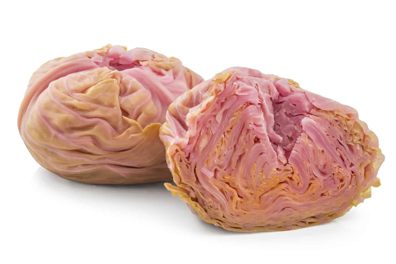Pickled cabbages heads, one cutted