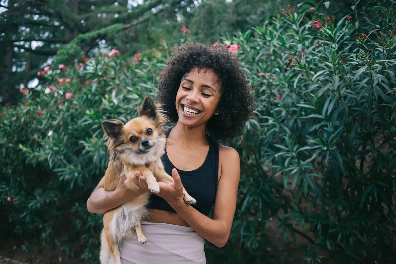 a woman holding an American Chihuahua and laughing