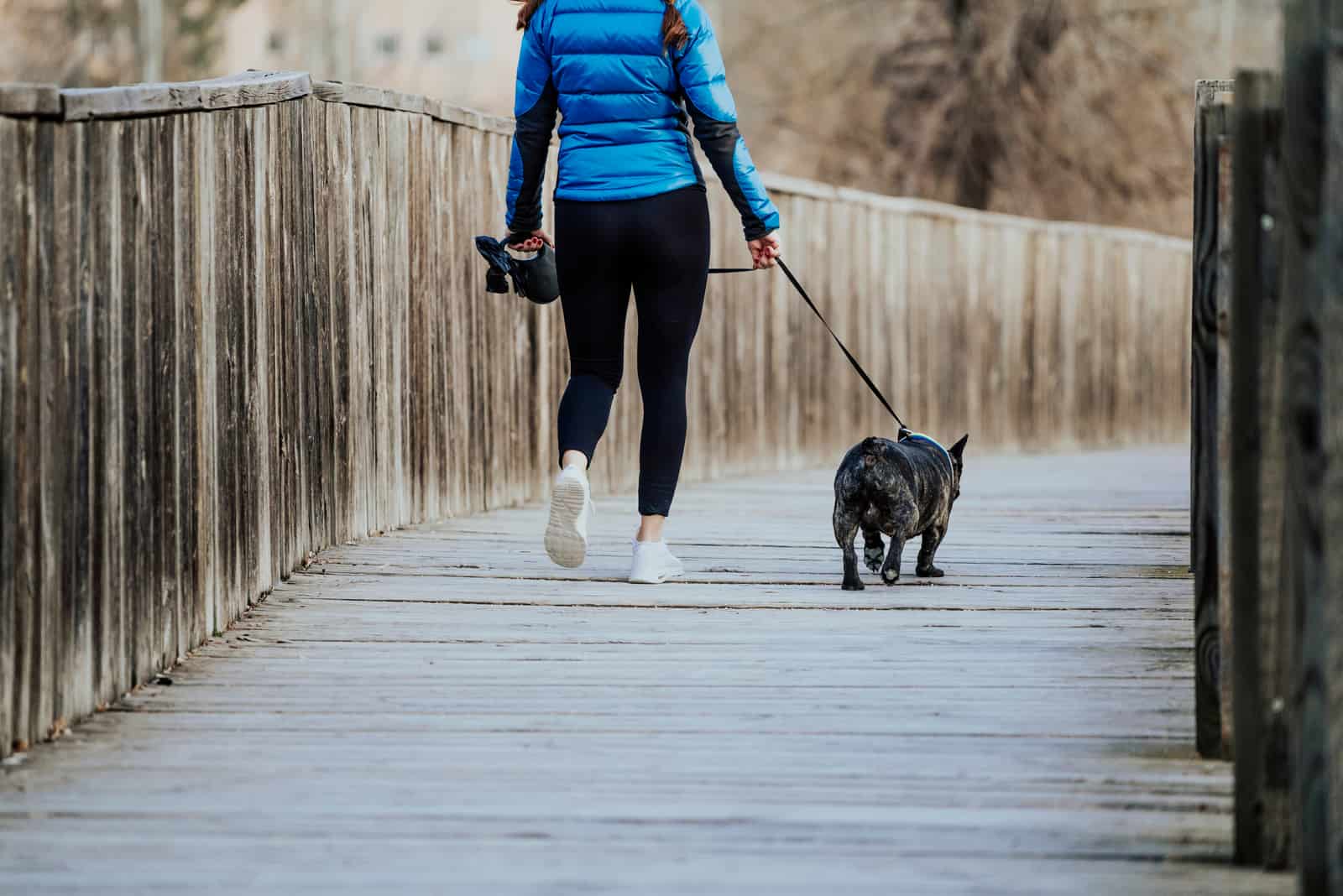 a woman walking a French bulldog