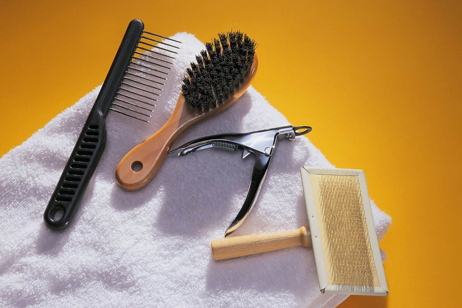 dog grooming tools placed in the white towel