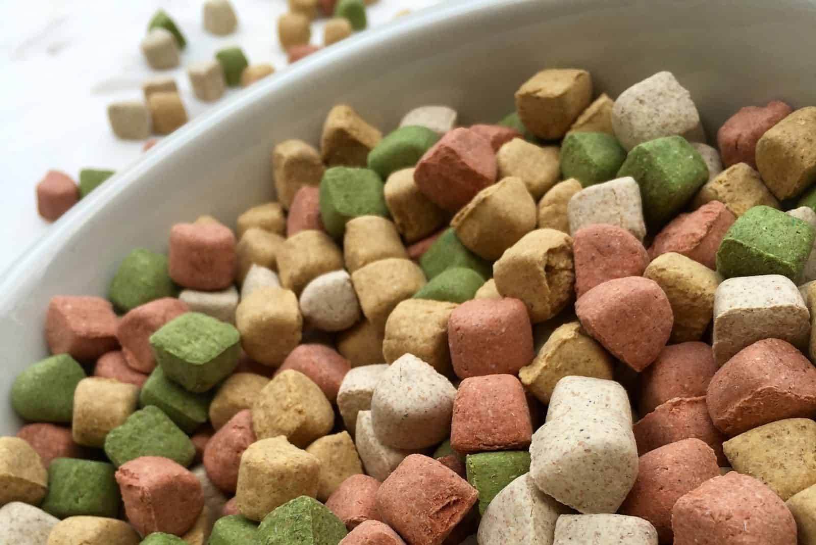 dry dog food in a high angle and close up photography