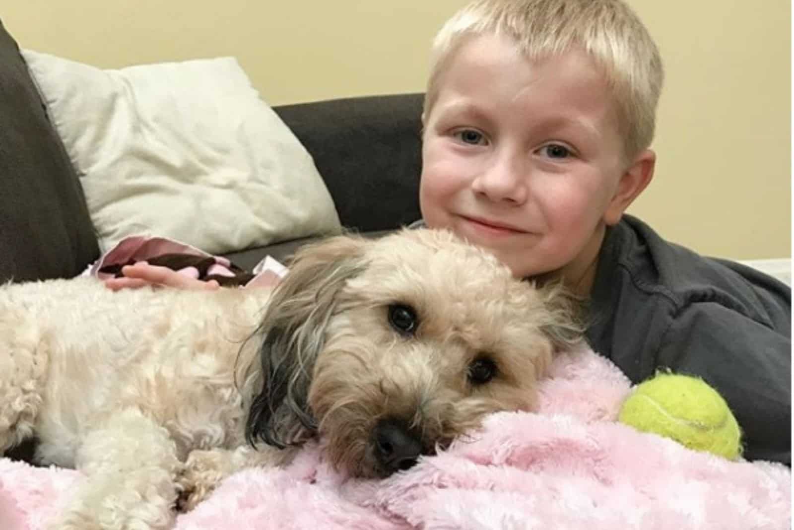 poodle and the child lie on the bed