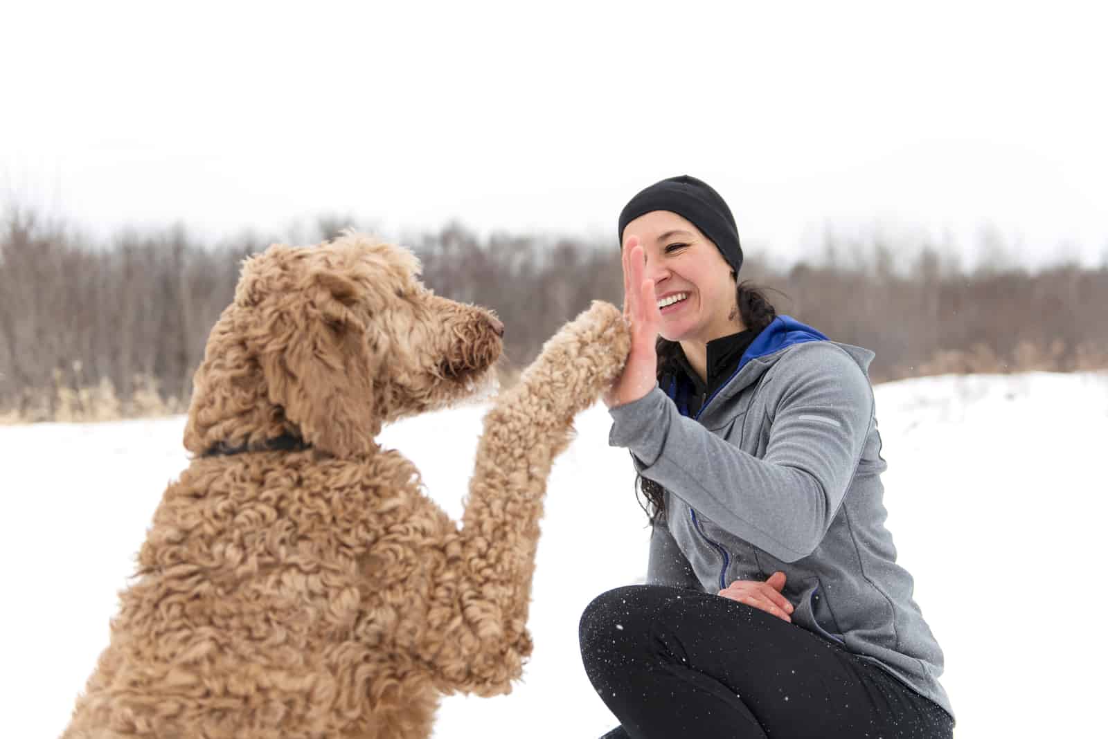 woman trains Goldendoodles