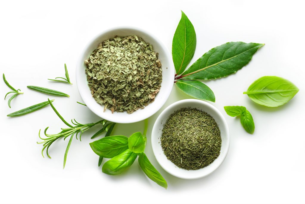 Can Dogs Eat Basil? Let’s Sprinkle The Truth