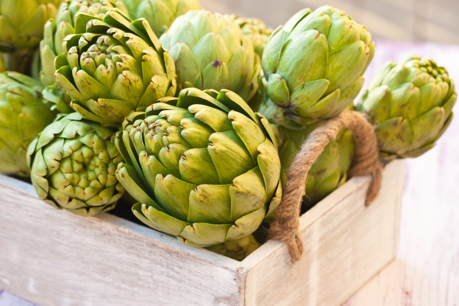 Can Dogs Eat Artichokes? Are They Good For Dogs?