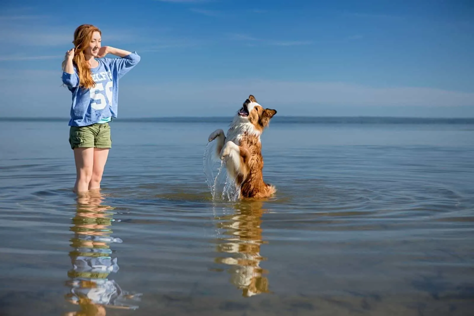 Beautiful young red-haired girl in a blue sweater standing in the water with the dog breed border collie, they make merry and rejoice