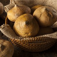 fresh jicama in a bowl