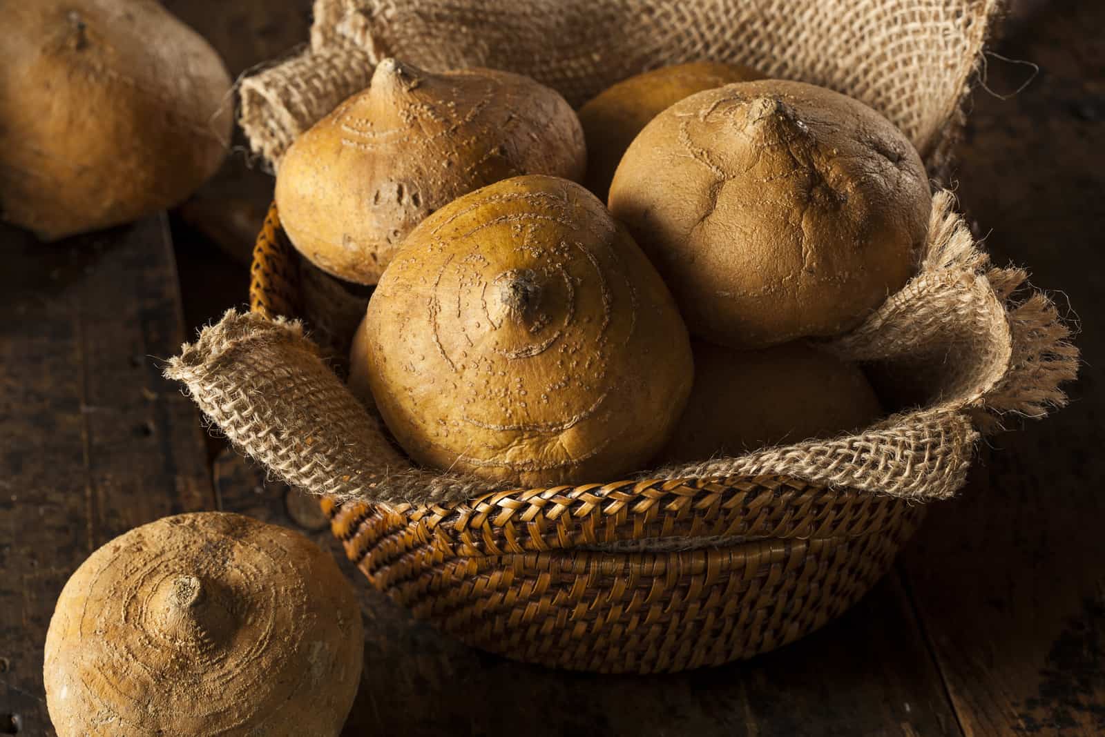 Can Dogs Eat Jicama? Is This A Healthy Treat?