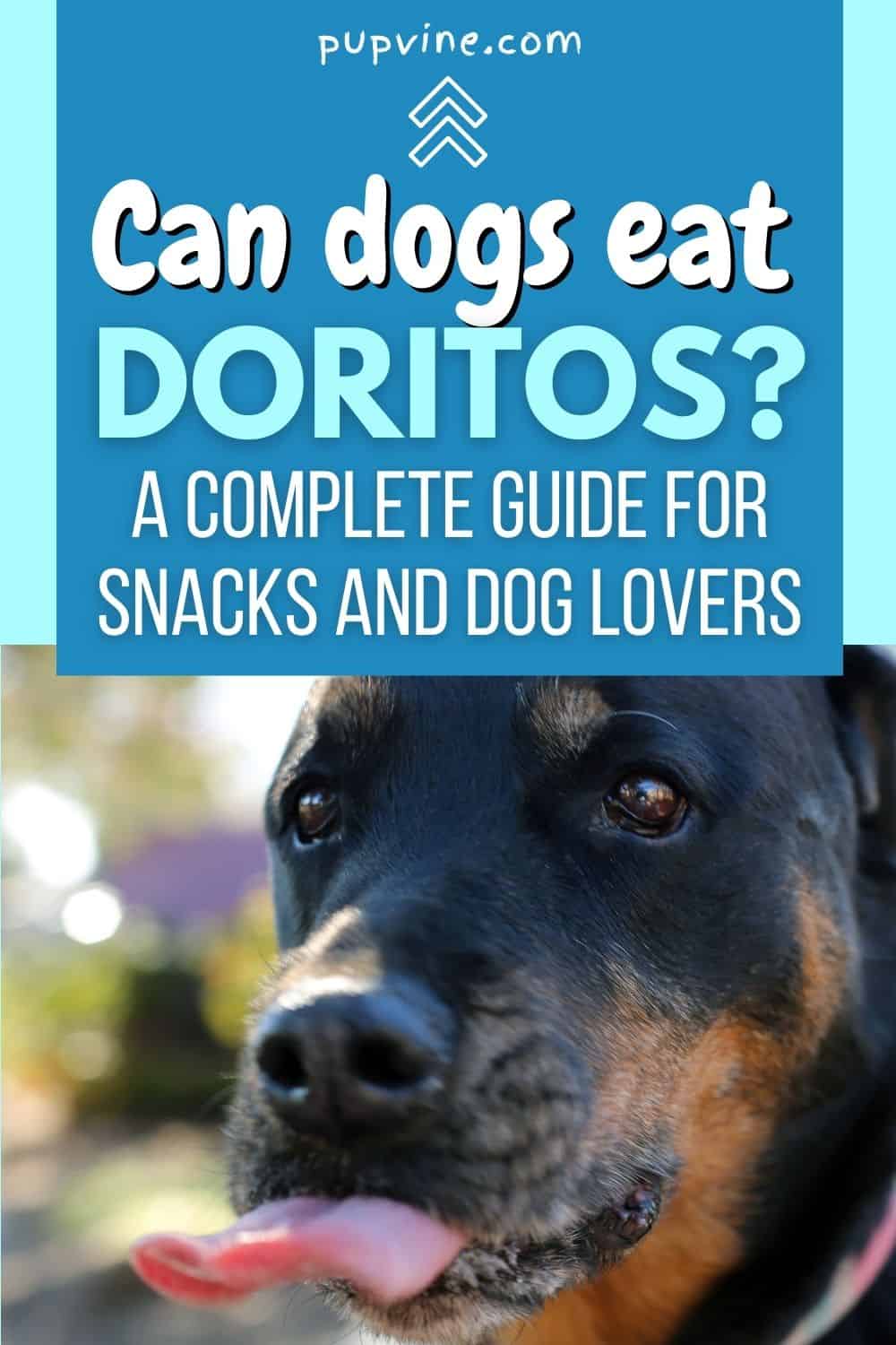 Can Dogs Eat Doritos? A Complete Guide For Snacks And Dog Lovers