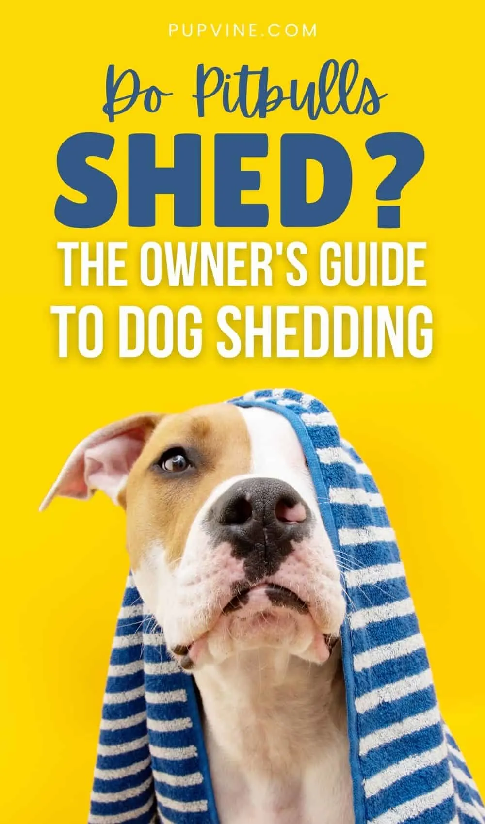 Do Pitbulls Shed? The Owner's Guide To Dog Shedding