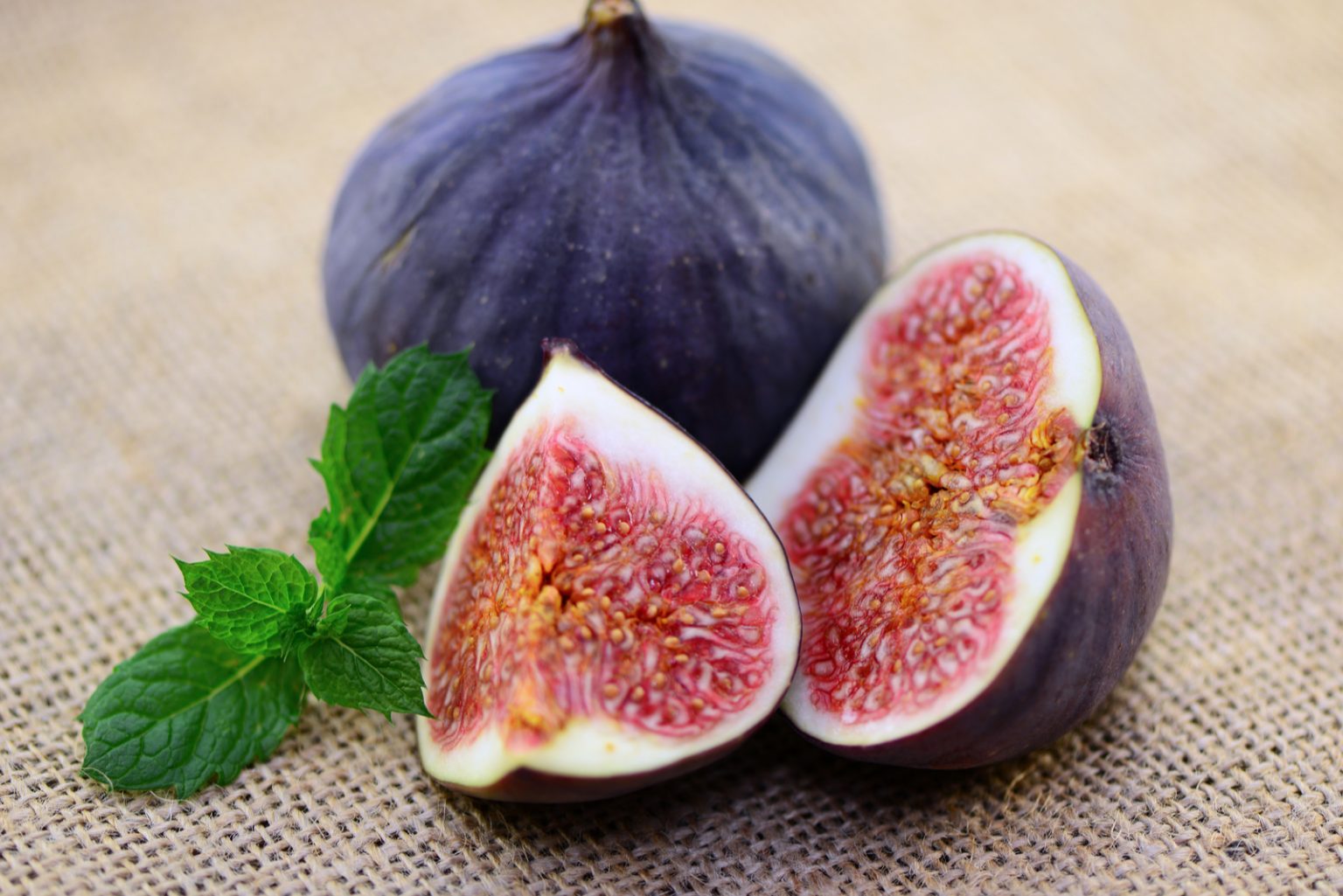 Dogs And Human Food Can Dogs Eat Fig Newtons?