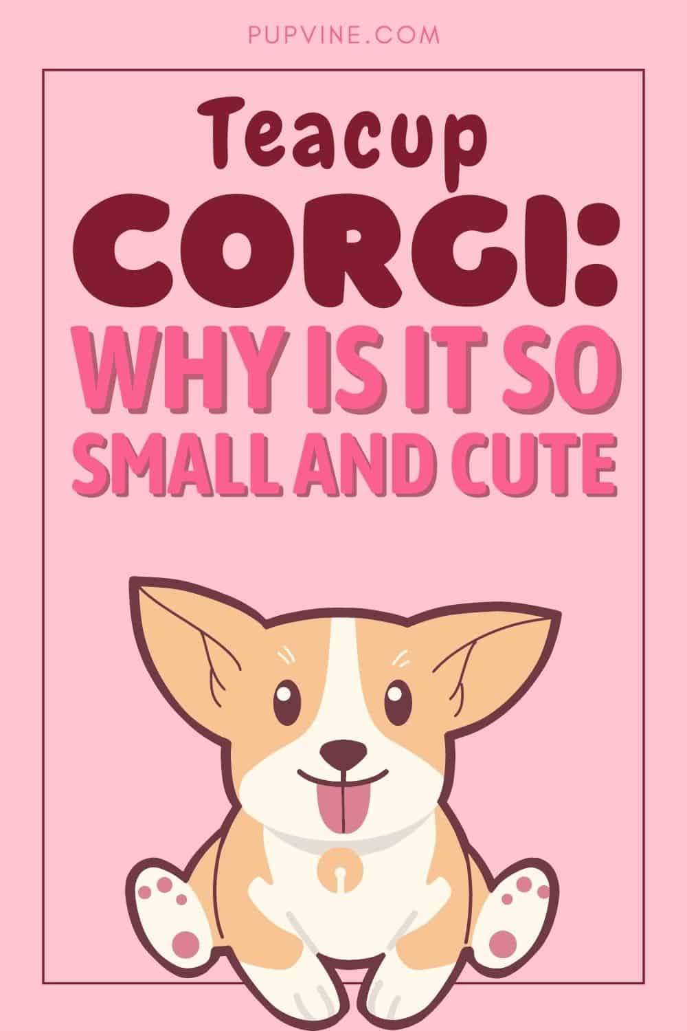 Teacup Corgi: Why Is It So Small And Cute?