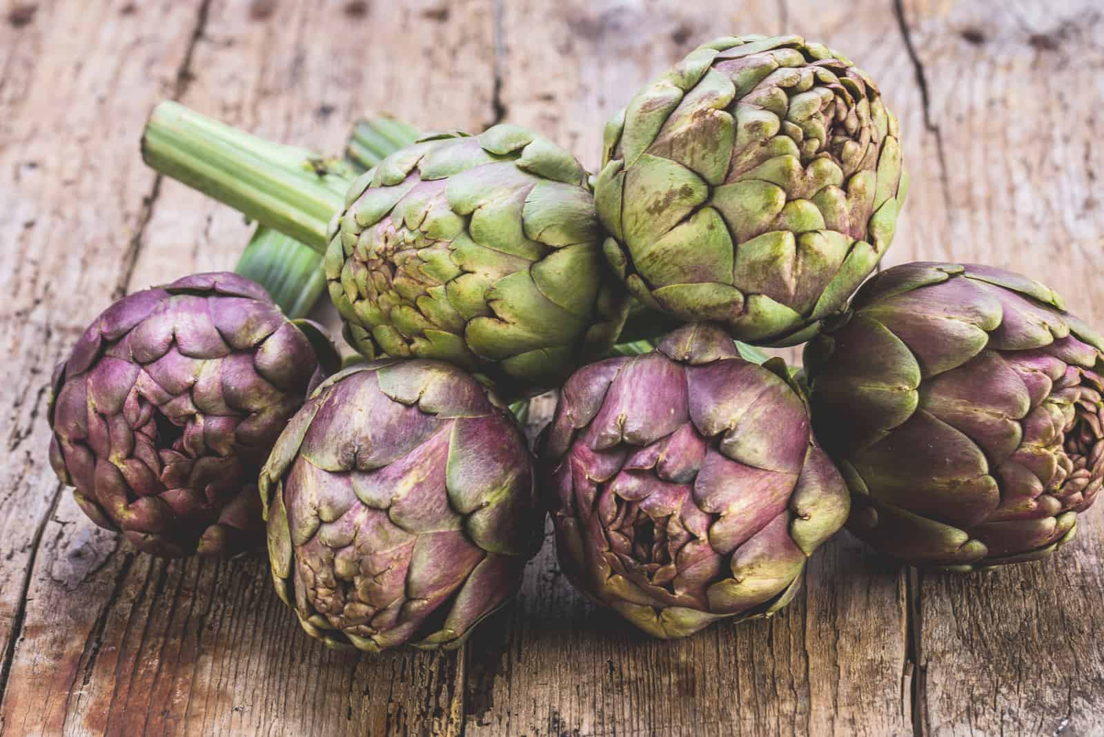 Can Dogs Eat Artichokes? Are Artichokes Good for Dogs?