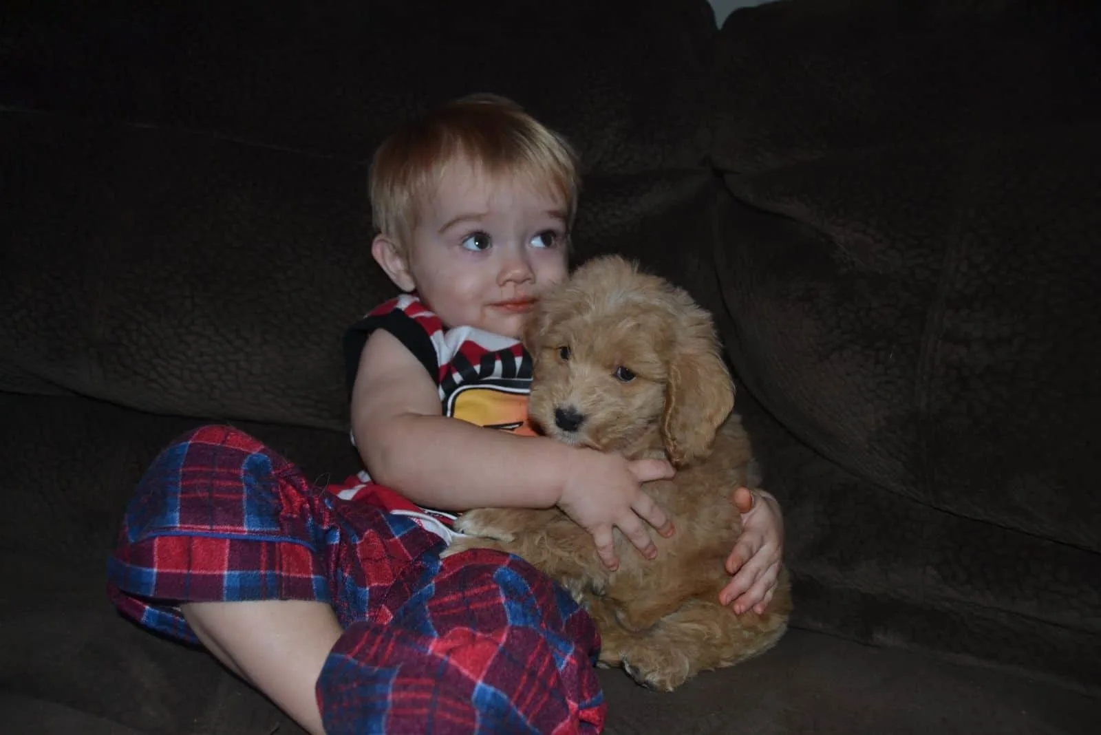 a child with a goldendoodle sits hugged on the couch