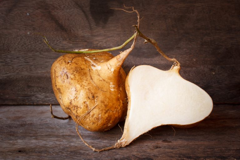 Can Dogs Eat Jicama? A Complete Guide Every Dog Owner Should Read!