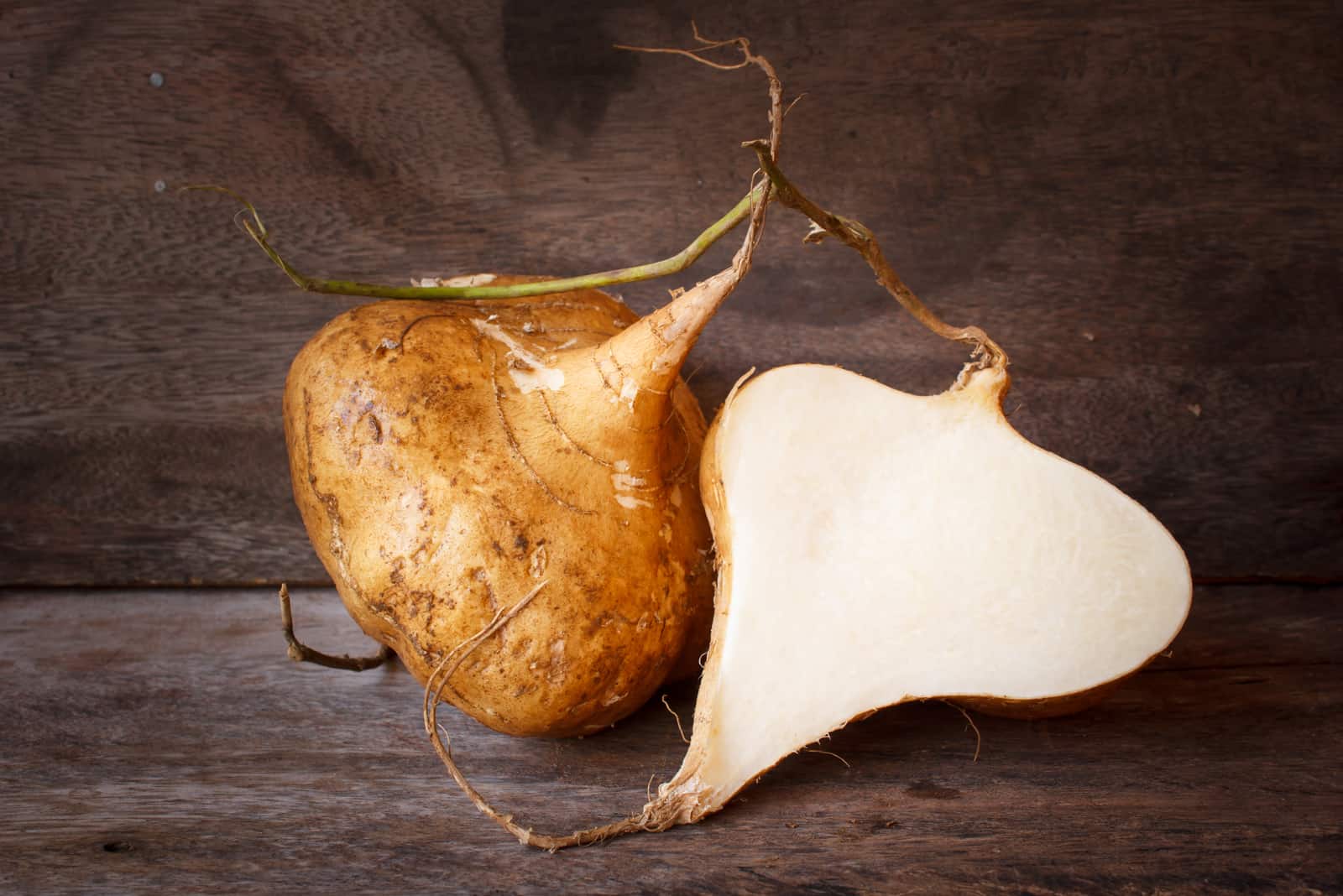 Can Dogs Eat Jicama? A Complete Guide Every Dog Owner Should Read!