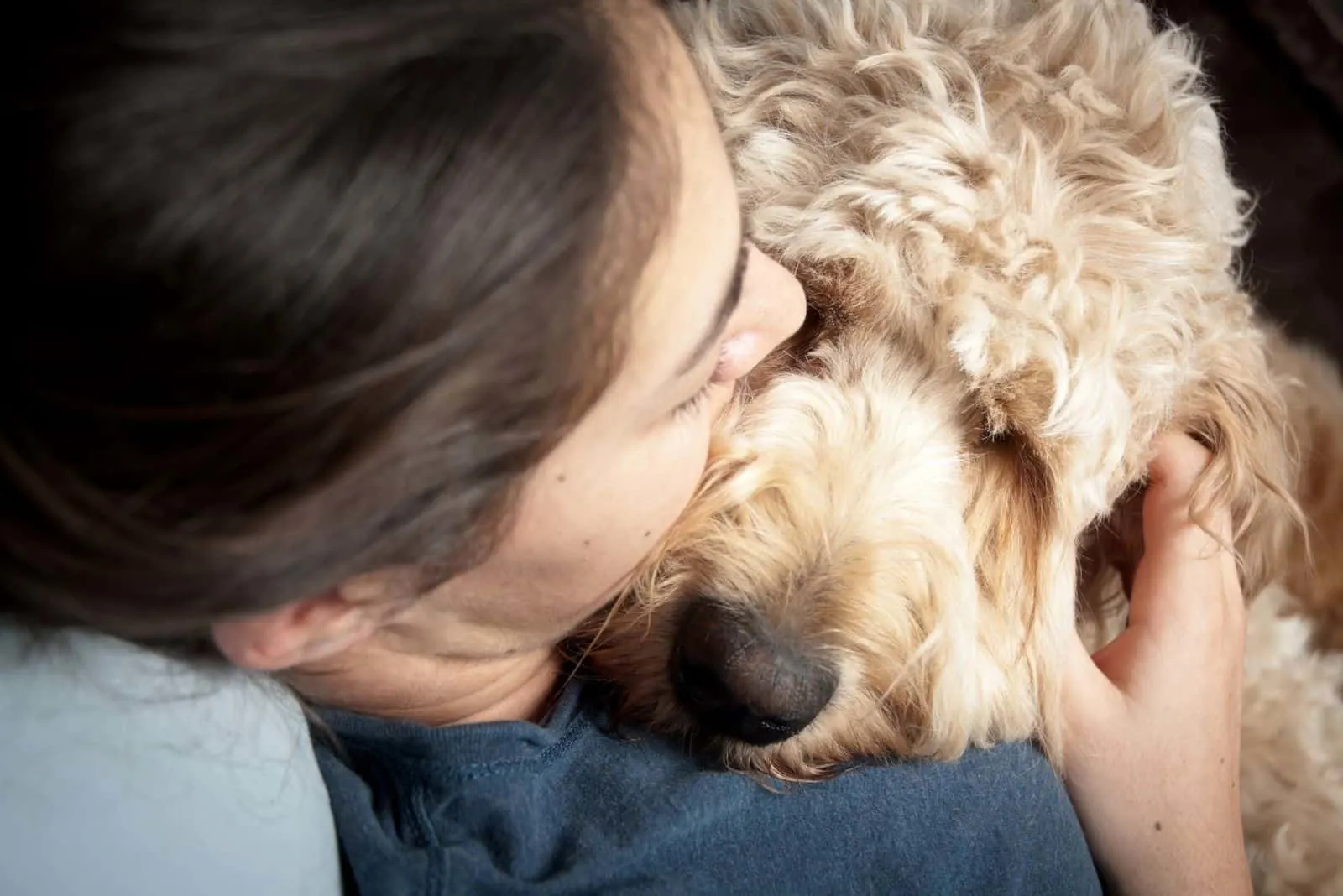 woman cuddling a goldendoodle in a close up photography