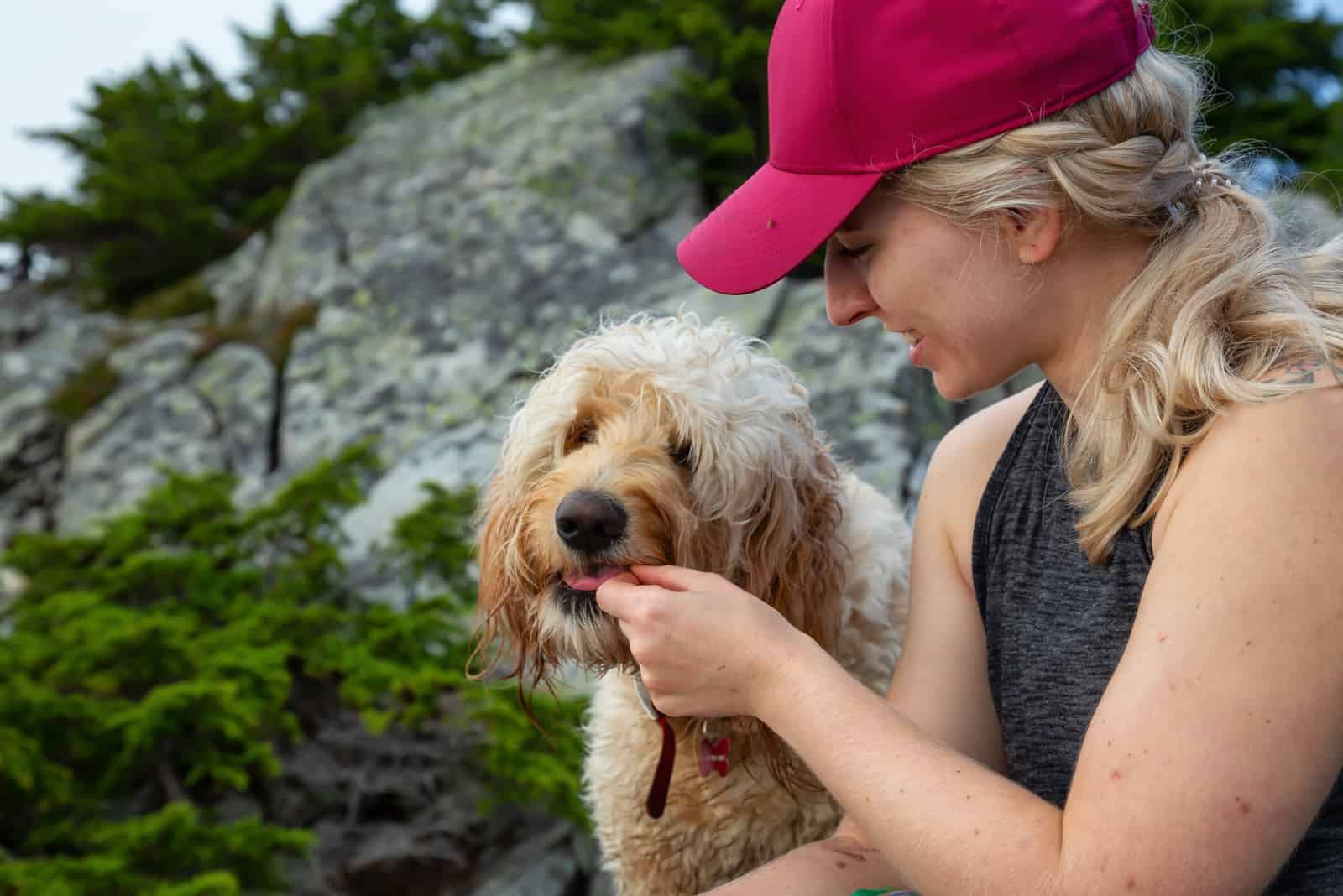 woman feeds Goldendoodles dog