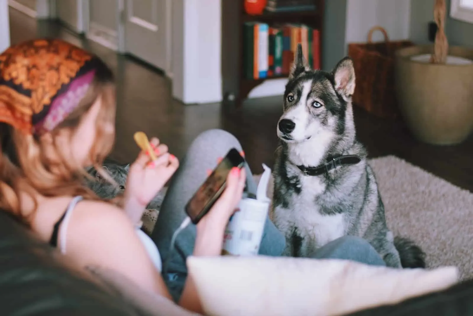 woman sits and eats chips while the dog watches her closely