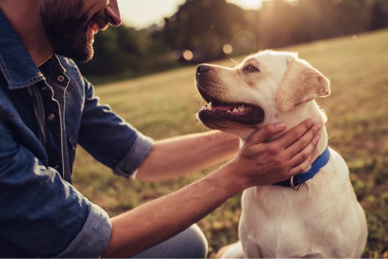 handsome young man with labrador outdoors