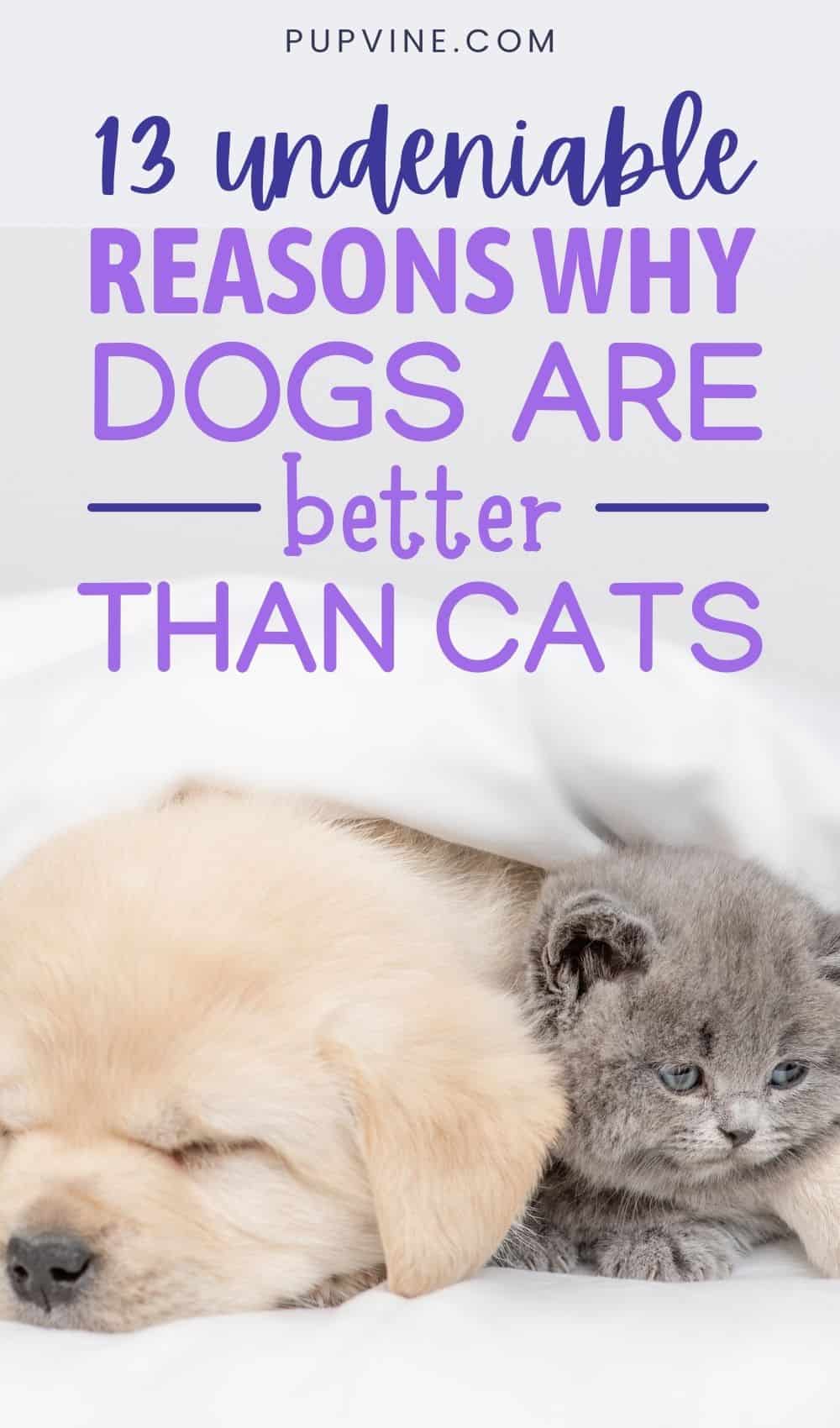 13 Undeniable Reasons Why Dogs Are Better Than Cats