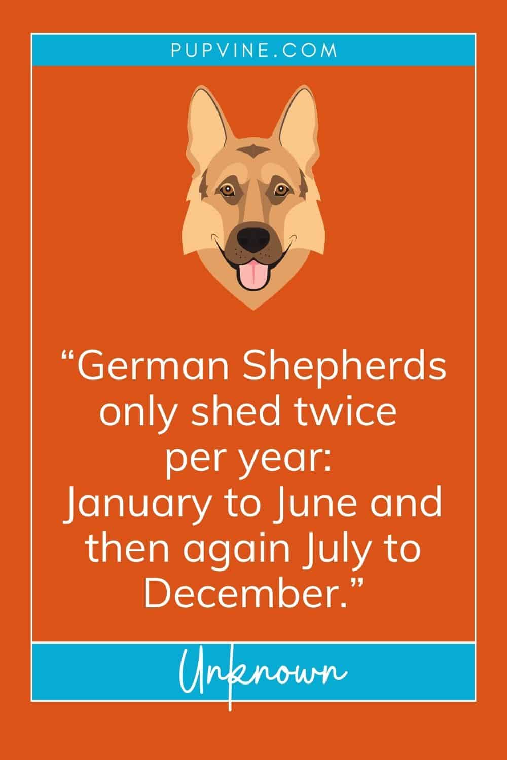 german shepherd quotes