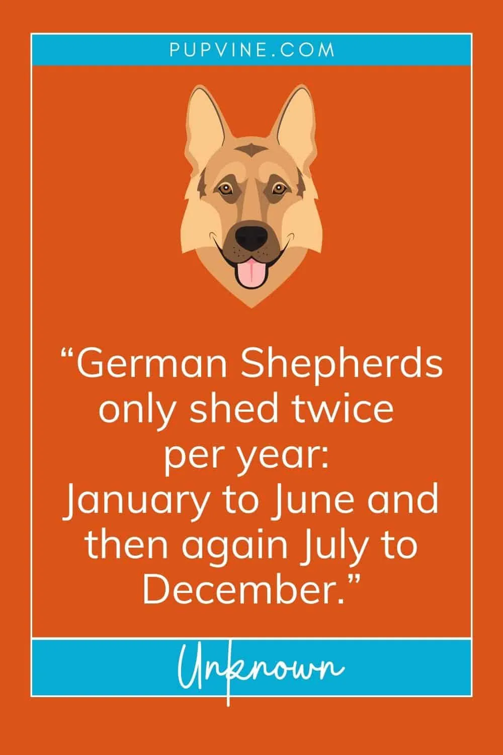german shepherd quotes