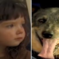 A Blast From The Past: How A Dog Saved A 3-Year-Old By Keeping Her Warm