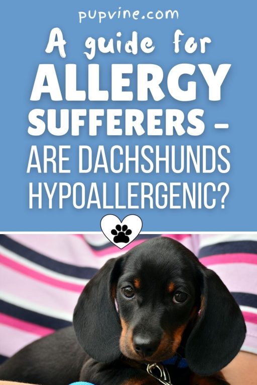 Curated visual reference: Visual Reference: A Guide For Allergy Sufferers