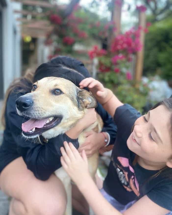 a kid reunites with her lost dog