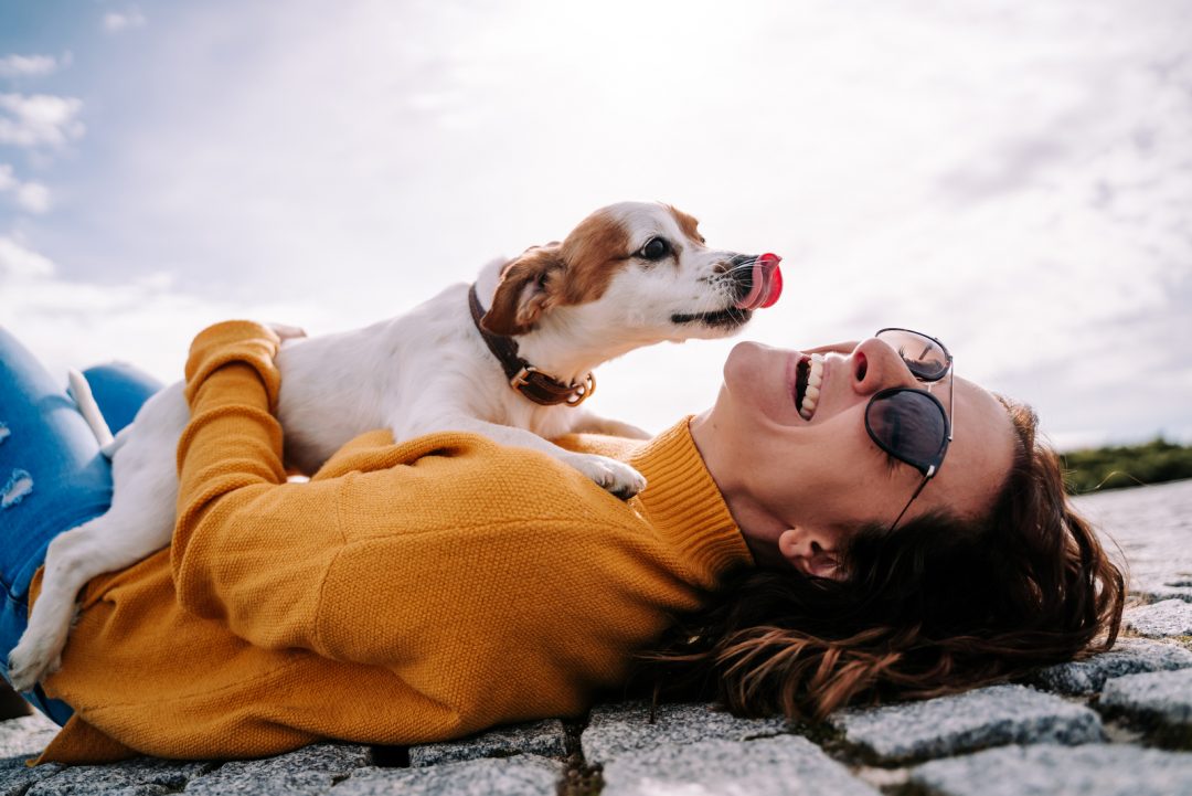 Why Does My Dog Lick Me? 9 Reasons For This Behavior