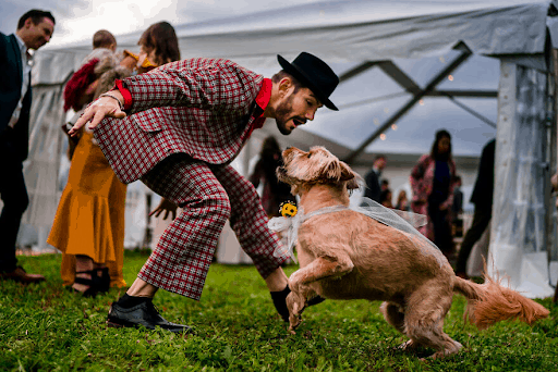 Best Dressed Pooches As Special Wedding Guests