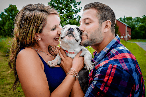 Best Dressed Pooches As Special Wedding Guests