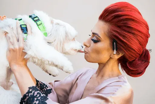 Best Dressed Pooches As Special Wedding Guests