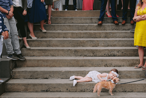 Best Dressed Pooches As Special Wedding Guests