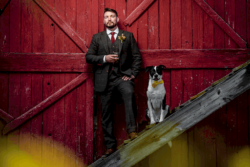 Best Dressed Pooches As Special Wedding Guests