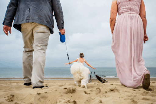 Best Dressed Pooches As Special Wedding Guests