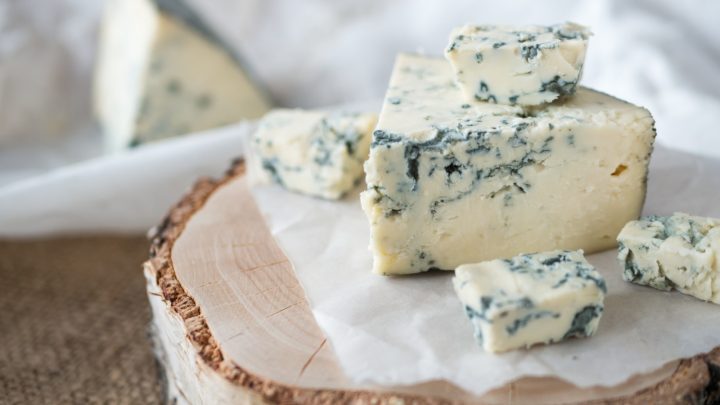 Can Dogs Eat Blue Cheese? The Truth About Dairy And Dogs