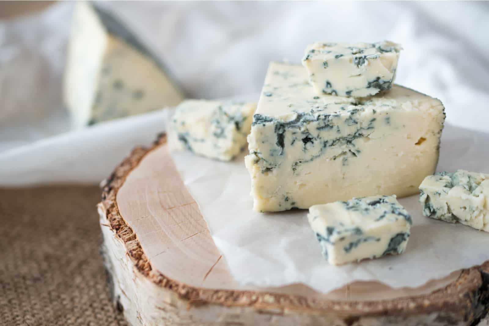 Can Dogs Eat Blue Cheese? The Truth About Dairy And Dogs