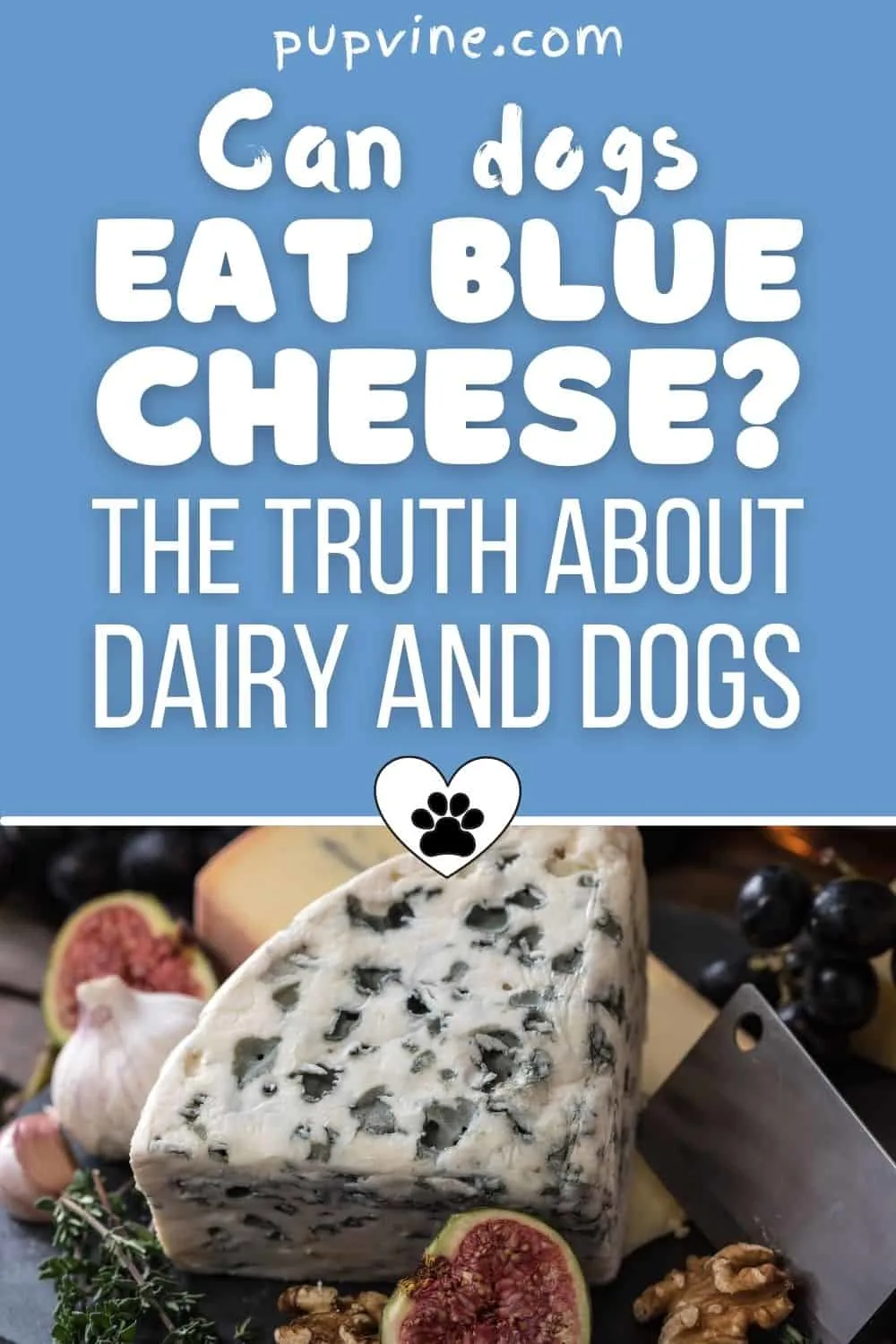 Can Dogs Eat Blue Cheese? The Truth About Dairy And Dogs