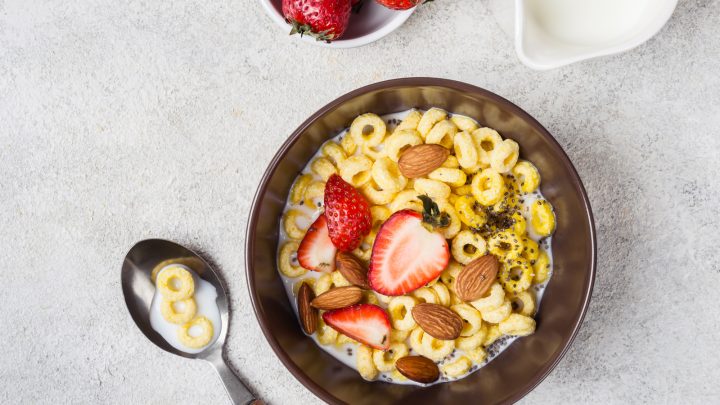 Can Dogs Eat Cheerios? Breakfast Cereals And Dog Health