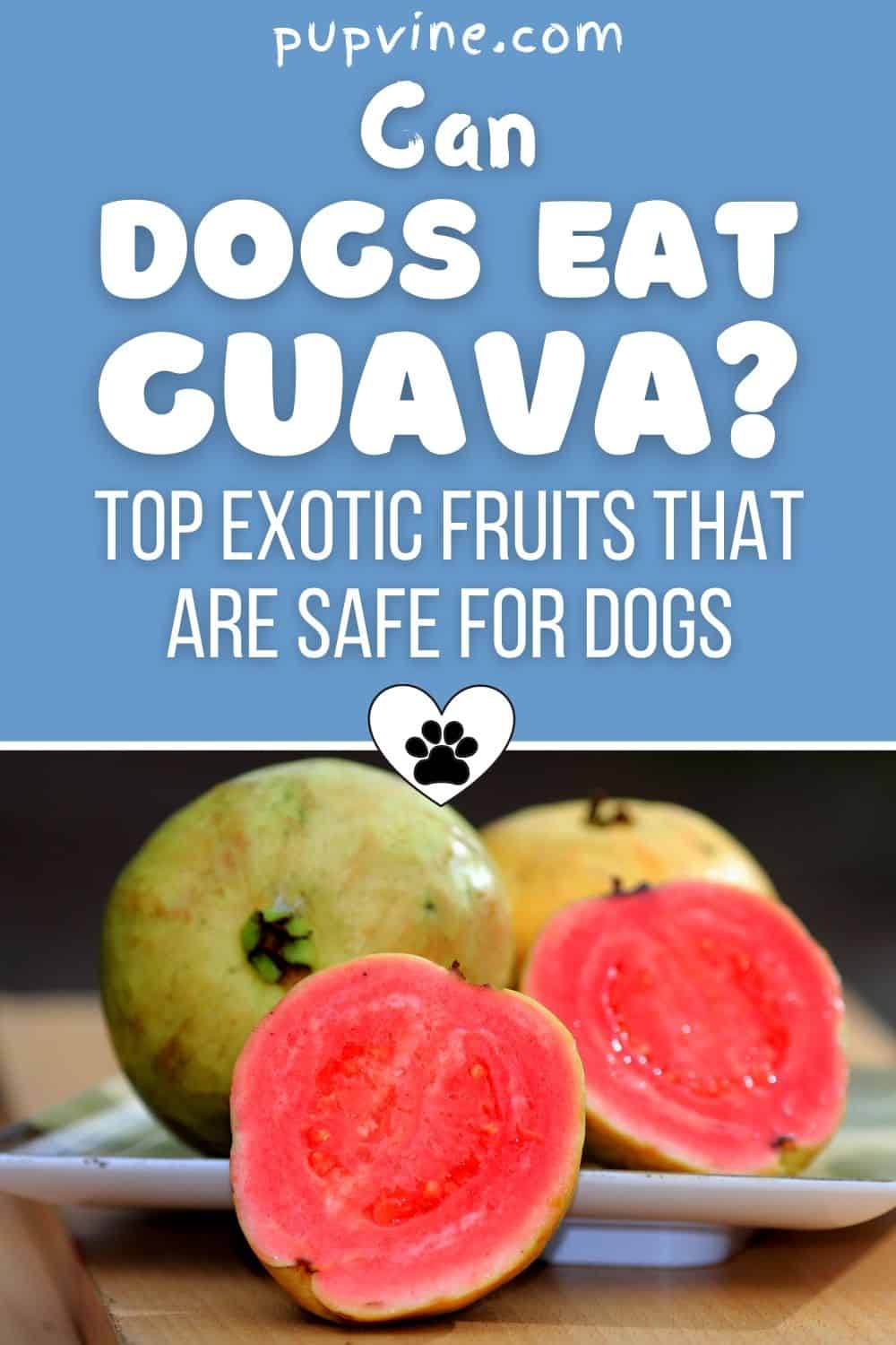 Can Dogs Eat Guava? Top Exotic Fruits That Are Safe For Dogs