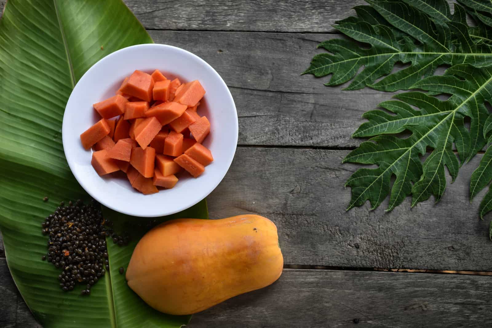 Can Dogs Eat Papaya? Top Tips On Healthy Fruit For Dogs