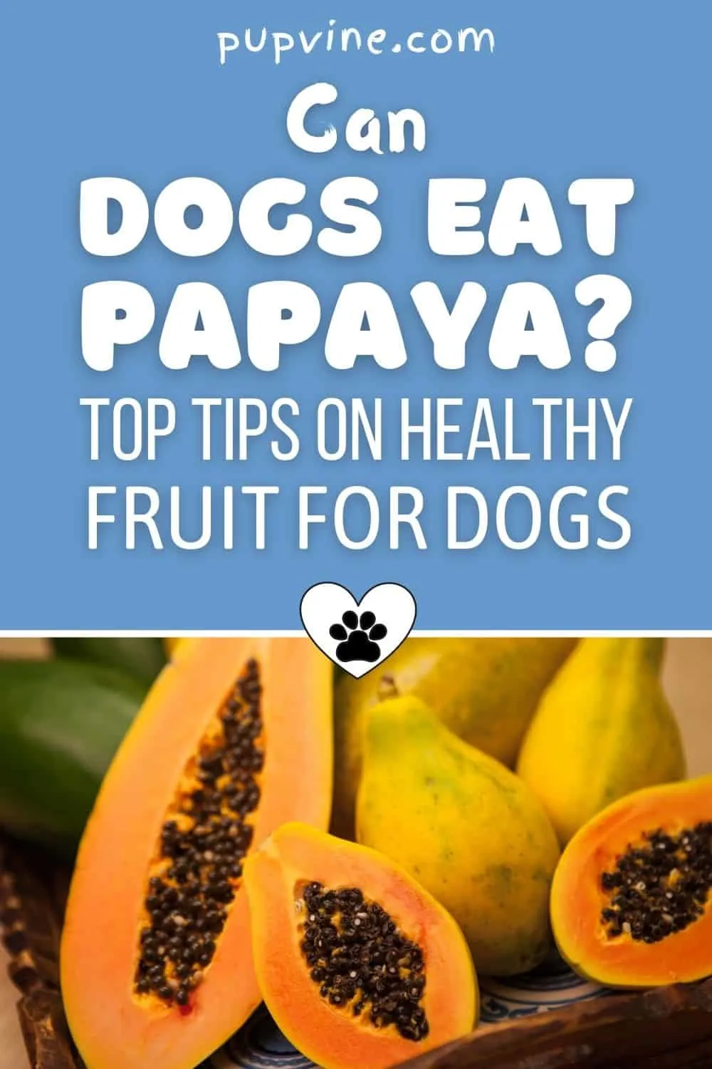 is papaya enzyme good for dogs