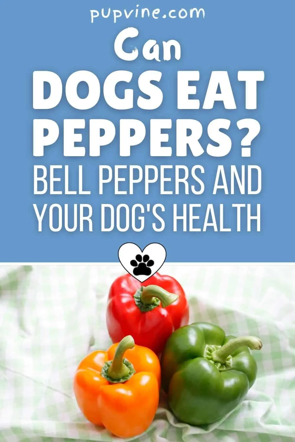 Can Dogs Eat Peppers? Bell Peppers And Your Dog's Health