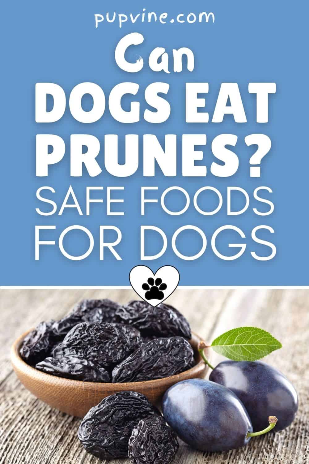 are prunes bad for dogs to eat