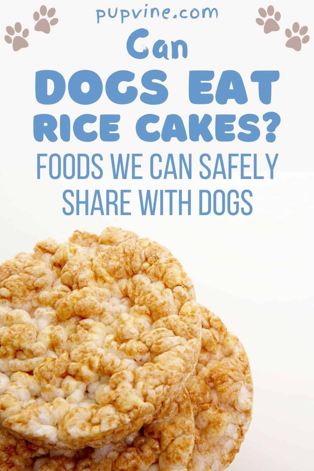 Can Dogs Eat Rice Cakes? Foods We Can Safely Share With Dogs